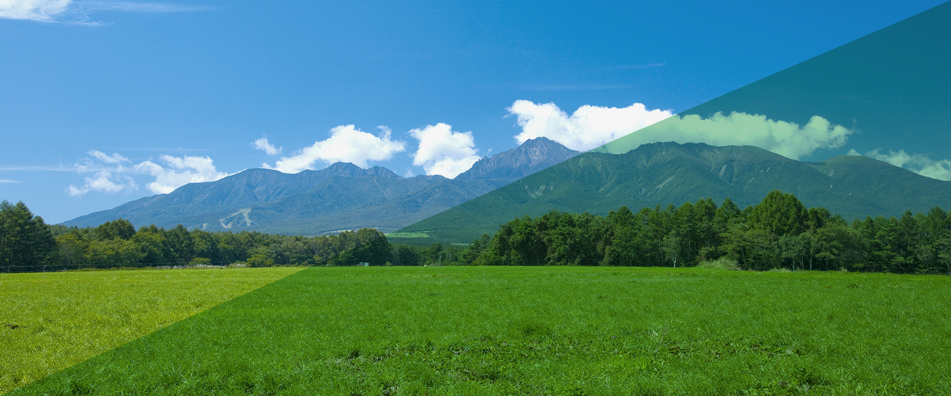 株式会社小山製作所